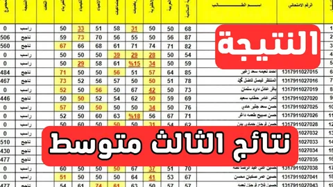 لينك مباشر”.. نتائج الثالث المتوسط 2025 بالاسم والرقم الامتحاني عبر موقع نتائجنا natiegna.com الدور الاول
