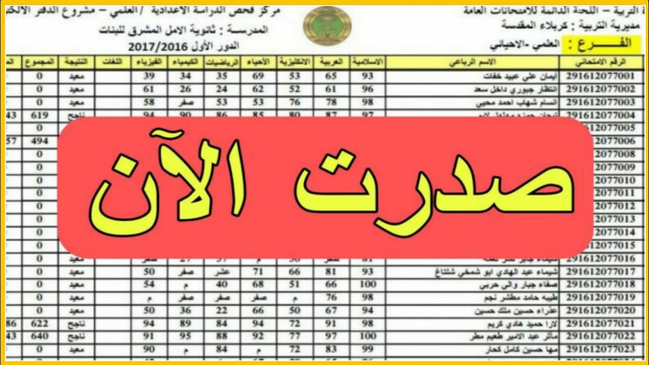 صدرت”.. نتائج الثالث المتوسط 2025 الدور الاول لجميع المحافظات العراقية عبر موقع نتائجنا تحميل PDF من moedu.gov.iq