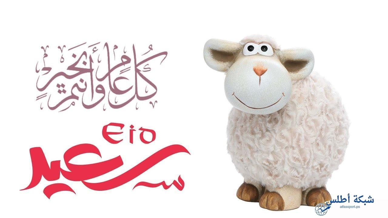 أجمل رسائل وعبارات تهنئة عيد الأضحى 2025 للأهل والاصدقاء