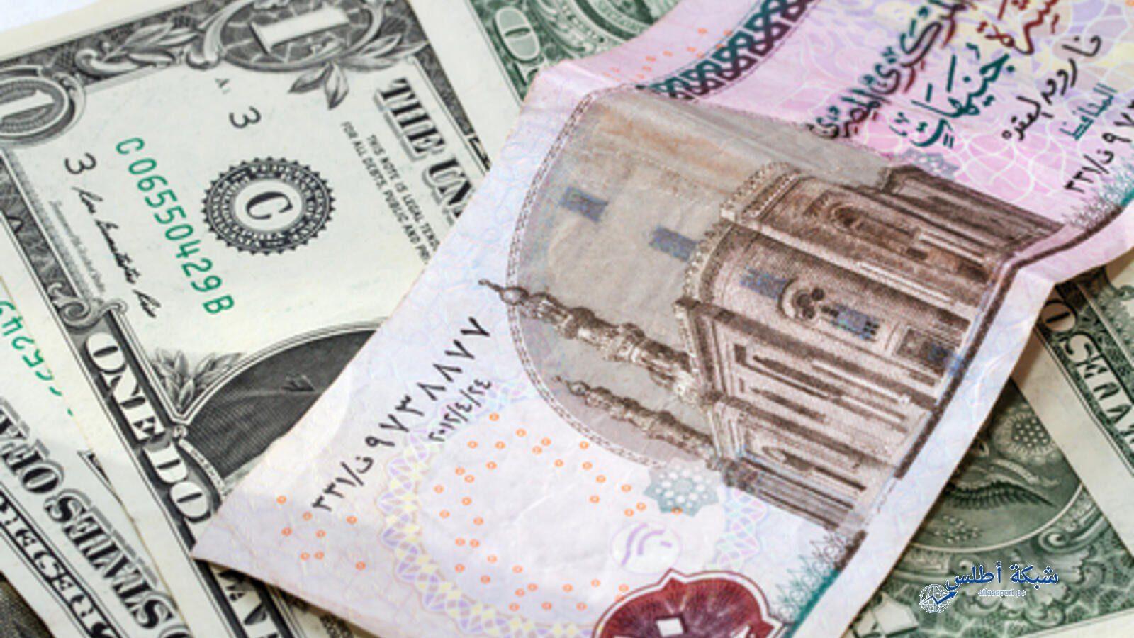 تحديث أسعار الدولار مقابل الجنيه المصري في البنوك اليوم الخميس 12 يونيو 2025