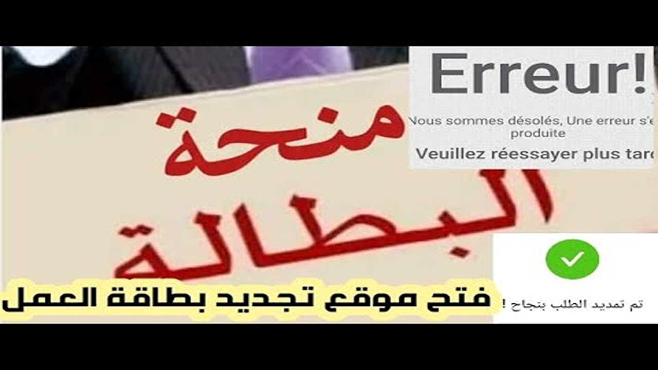 الوكالة الوطنية تعلن خطوات وشروط تجديد منحة البطالة 2025 وكشف أسباب توقيفها لبعض المستفيدين